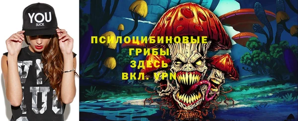дмт Зеленодольск