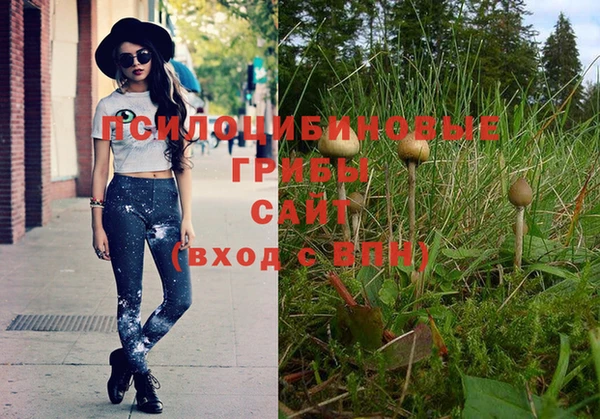 дмт Зеленодольск