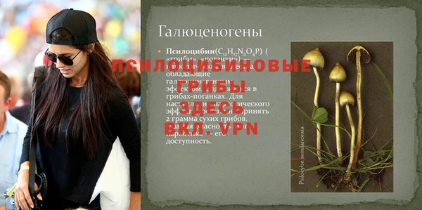 скорость Зерноград