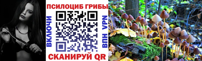 Галлюциногенные грибы GOLDEN TEACHER  кракен ТОР  Калининец 
